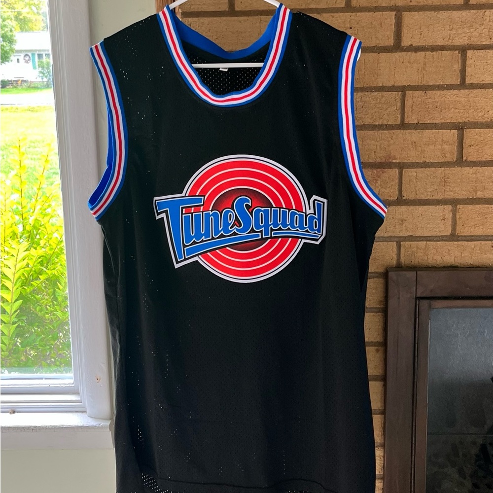Space jam Jordan jersey